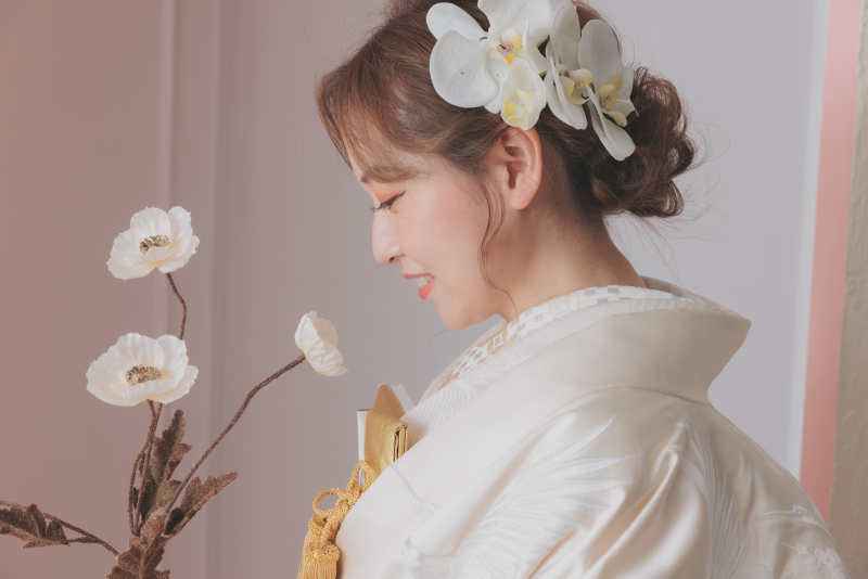 充実の240カットのデータ付き