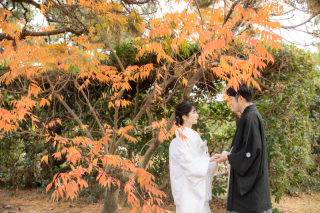 紅葉の季節を感じるロケーション　和装が映える秋の季節