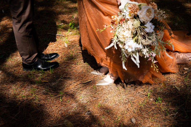 データはたっぷり100cut！