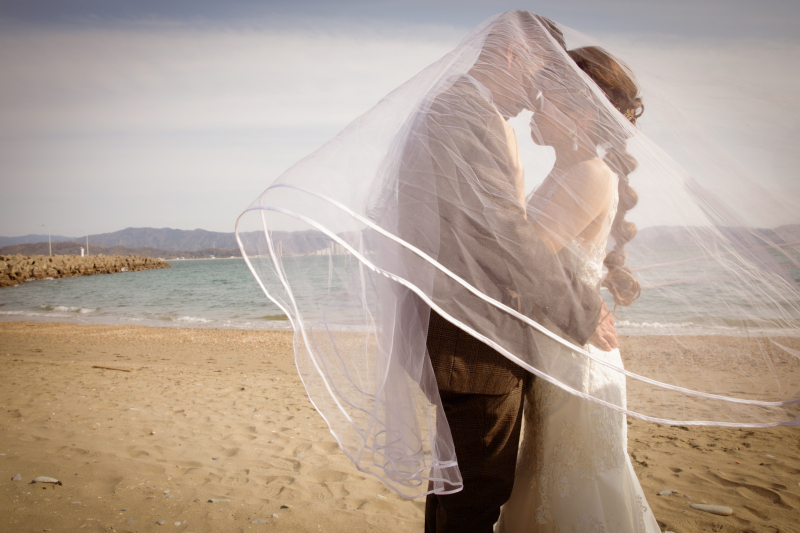 風の動きに合わせて変わる雰囲気を写真に