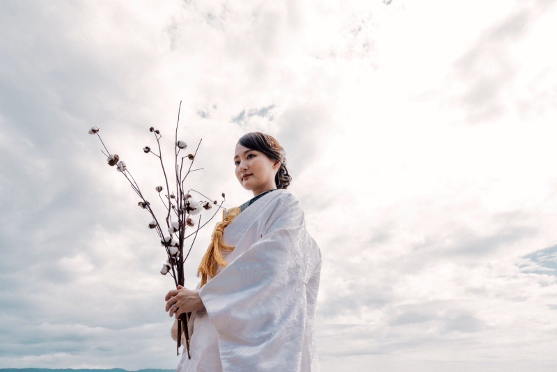 白無垢が生える空一面の世界を