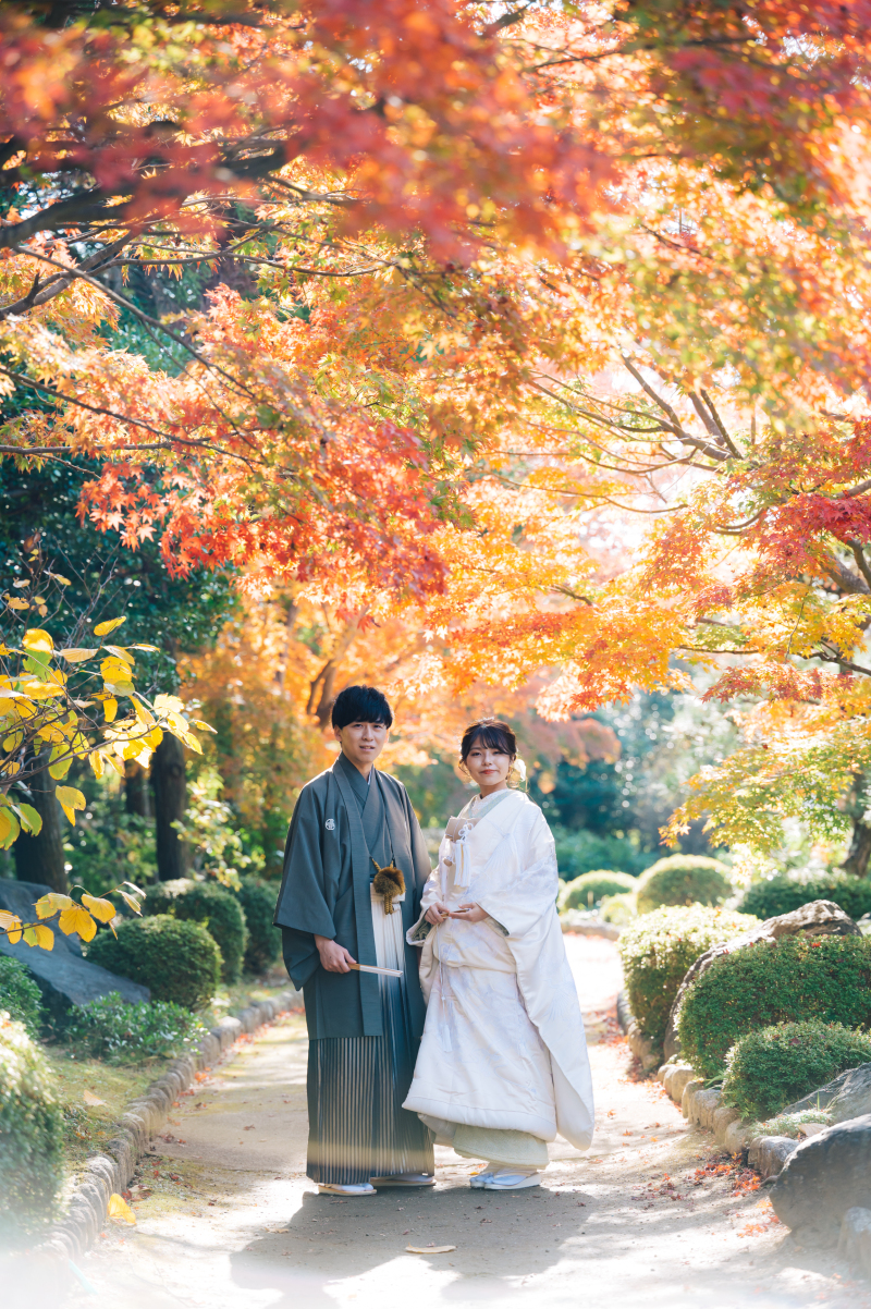 見頃の紅葉シーズン!