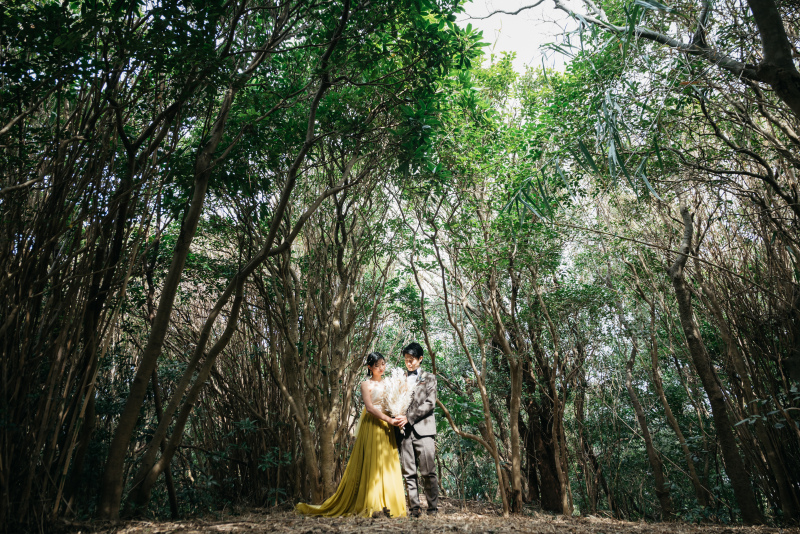 大自然の中で海でも草原でも撮影