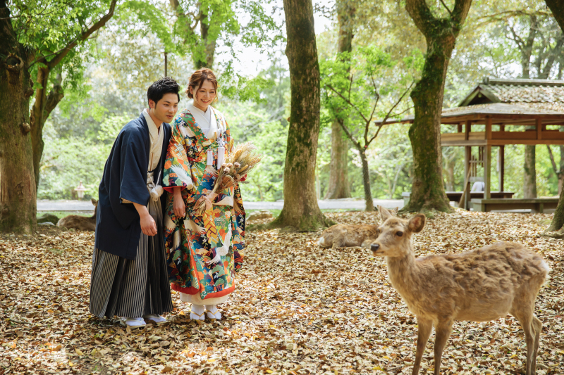 気分屋の鹿さんに、みんなでアプローチ