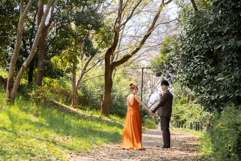 森に広がる一本道で