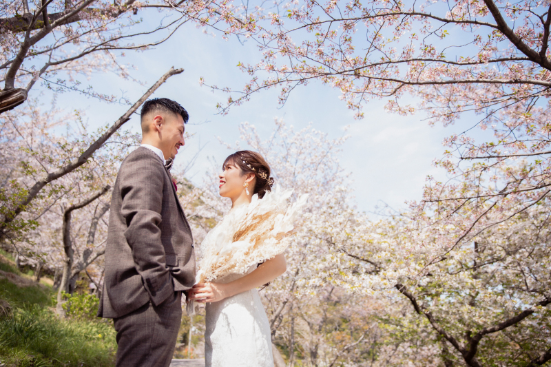 桜の季節に桜を独り占めできるスポット