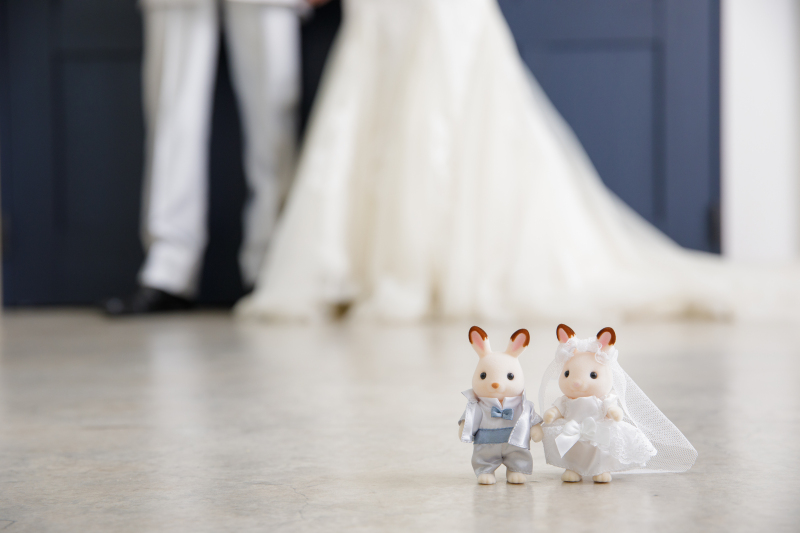 和装も洋装も着たい方に♪