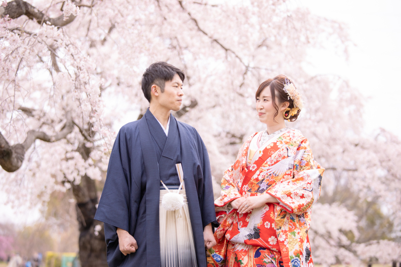 期間限定！桜に包まれた春の和装フォトウェディング
