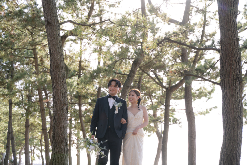 海だけでなく、松木林も