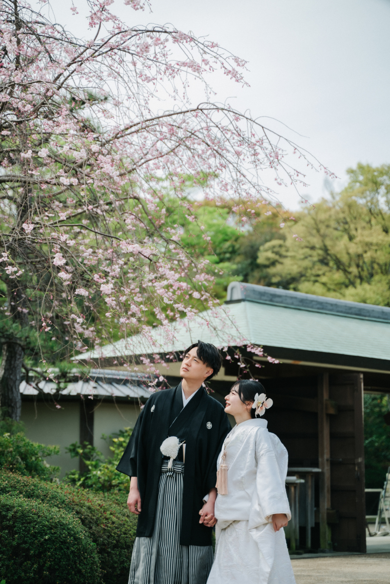 情緒溢れる春の庭園散歩