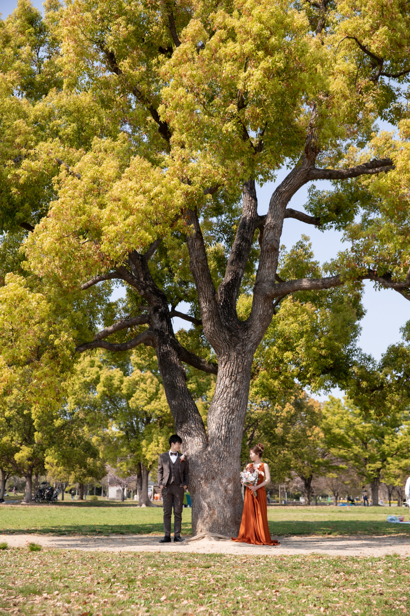 大きな木の下で
