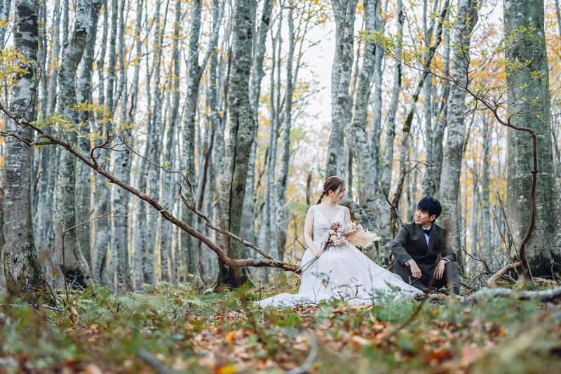 おとぎ話のような