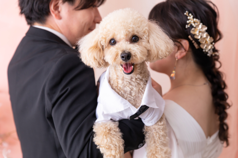 ロケーション撮影も◎