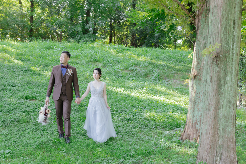 淡い雰囲気の森の中で