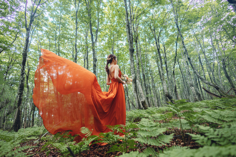 光の差し込む林で