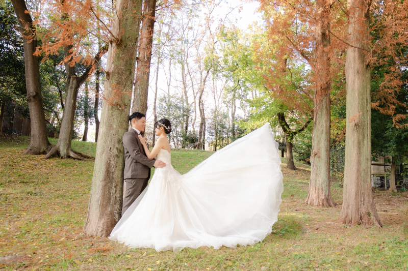 トレーンが美しく