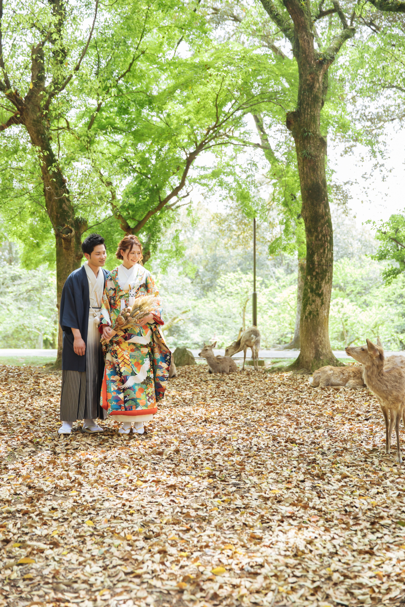 鹿さんも撮影に仲間入り