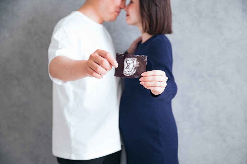 エコー写真に合わせて