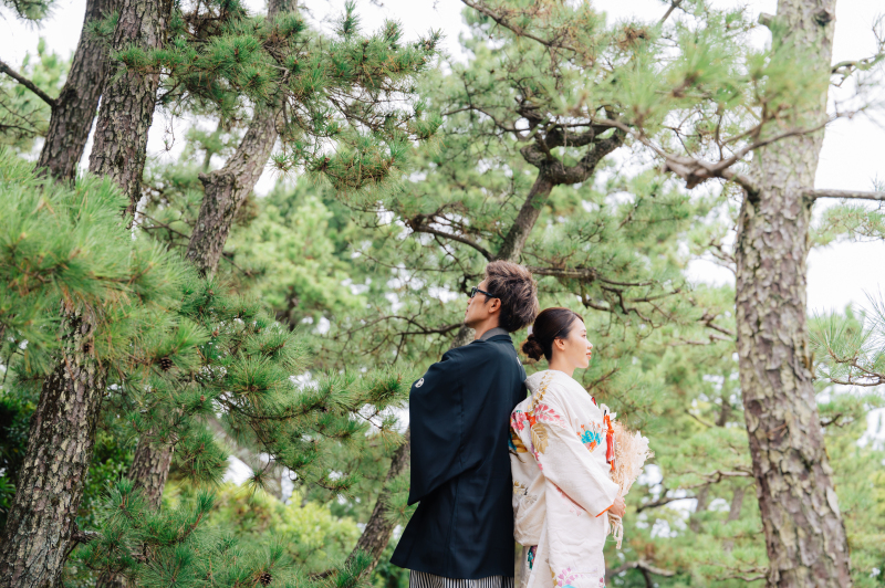 松を背景にダイナミックなお写真を