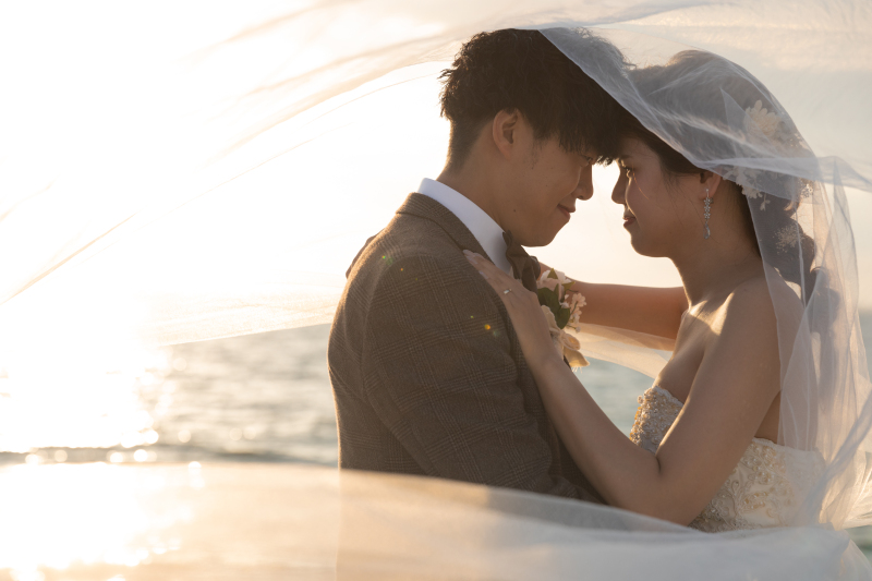 光とヴェールが織りなす１枚