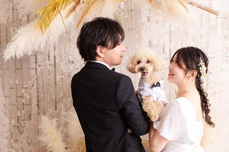 衣装への汚れも気にせず撮影できる