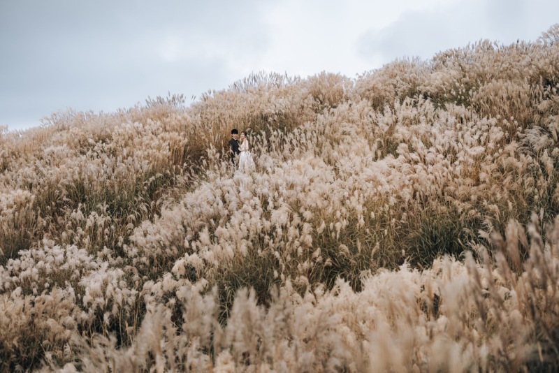 ドローン撮影で圧巻の景色に魅了。