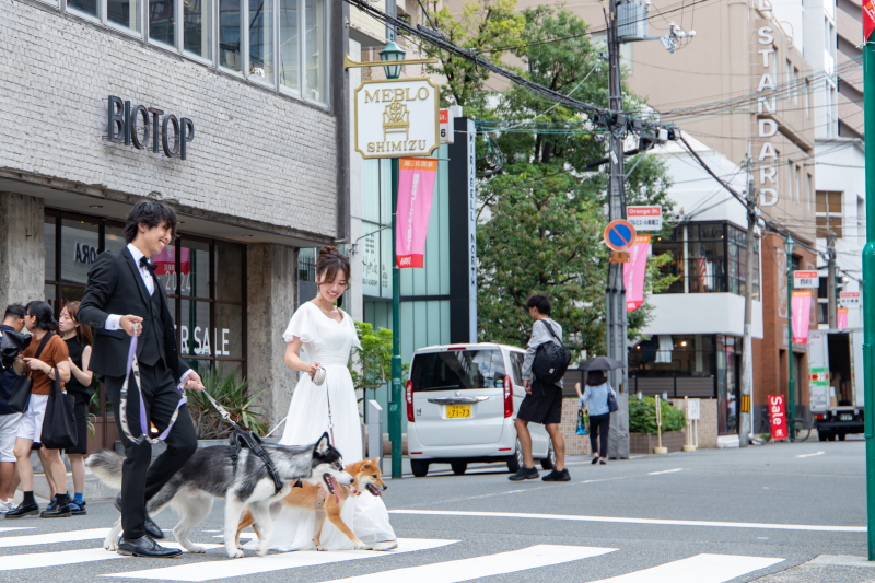 studio TO-WA_ペットと一緒に撮影できる