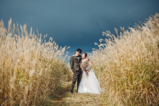 studio TO-WA_砂丘で叶えるロケーションフォト。ムービープラン