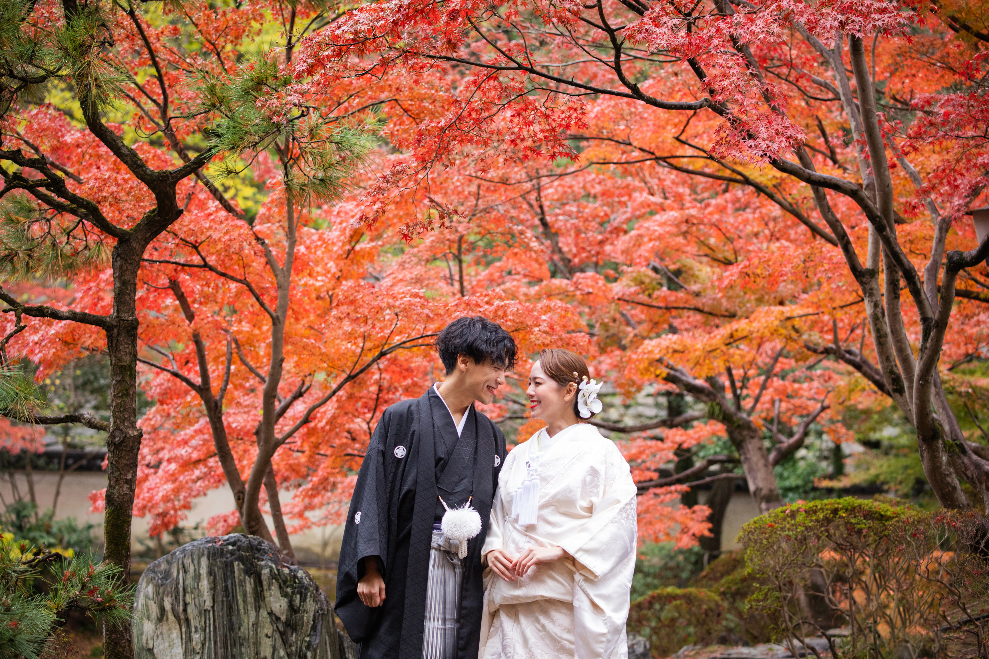 Point1 多彩な撮影シーン