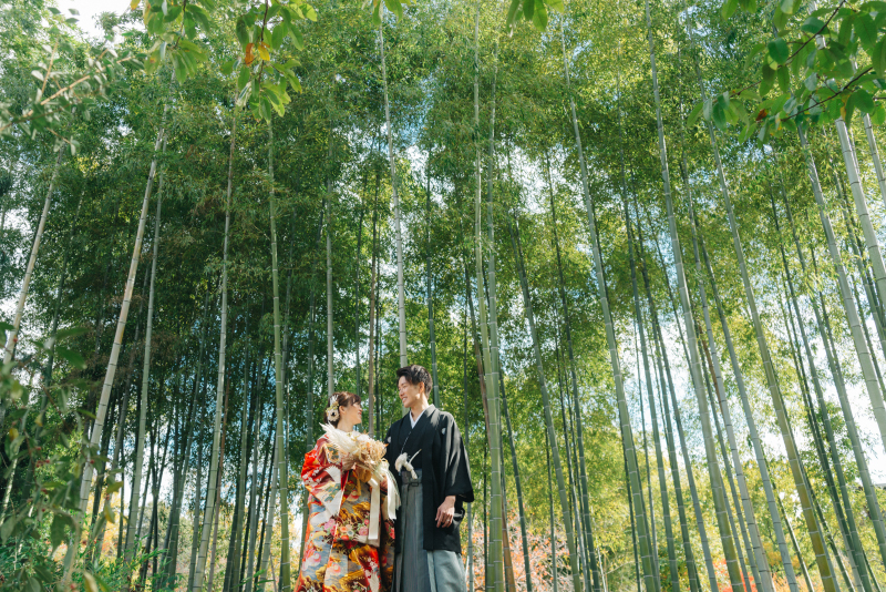 studio TO-WA_TO-WAおすすめフォト