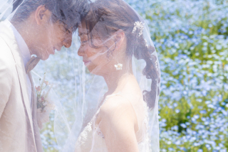 studio TO-WA_TO-WAおすすめフォト