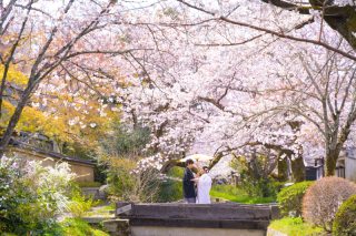 studio TO-WA_TO-WAおすすめフォト