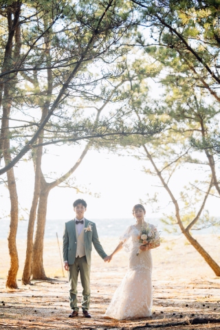 studio TO-WA_海、砂丘ロケーション