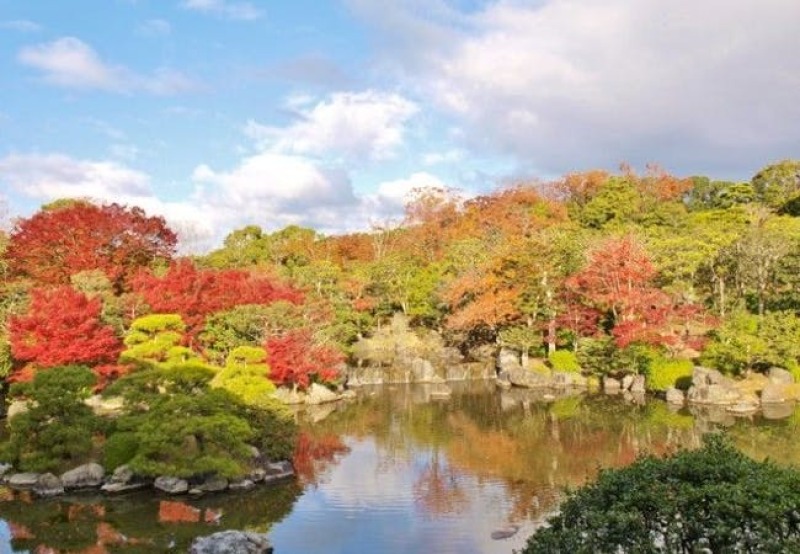 【秋の紅葉前撮り】大仙公園☆日本庭園☆ 和装紅葉ロケーション前撮り 15万円!お衣装追加料金無し♪