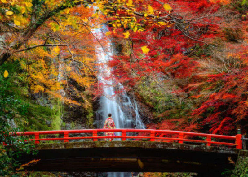 【秋の紅葉前撮り】大仙公園☆日本庭園☆ 和装紅葉ロケーション前撮り 15万円!お衣装追加料金無し♪