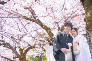 【早めの予約がお得！】桜ロケーション予約受付中！