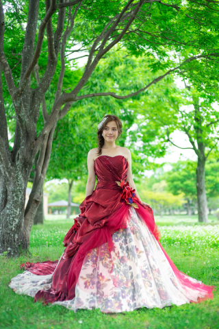 エレガントカラードレス