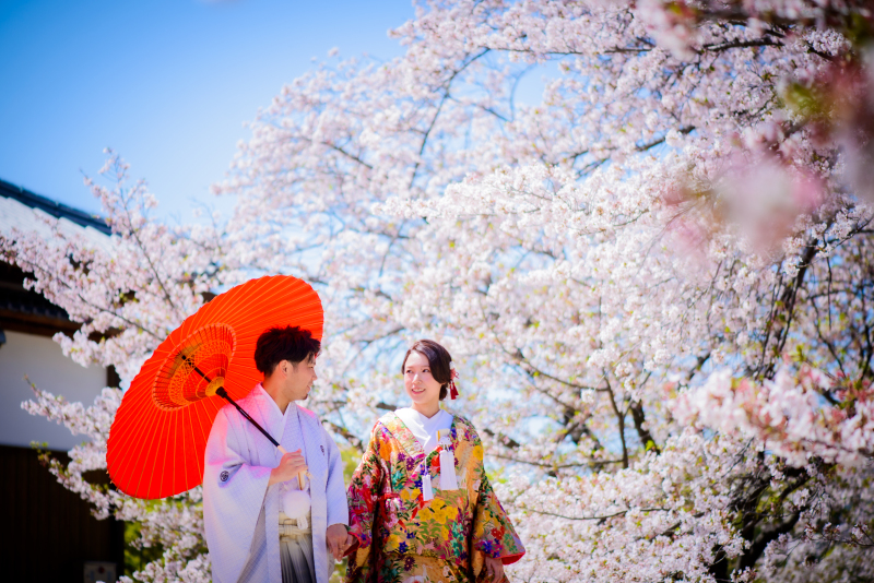佐賀城の桜は満開♪