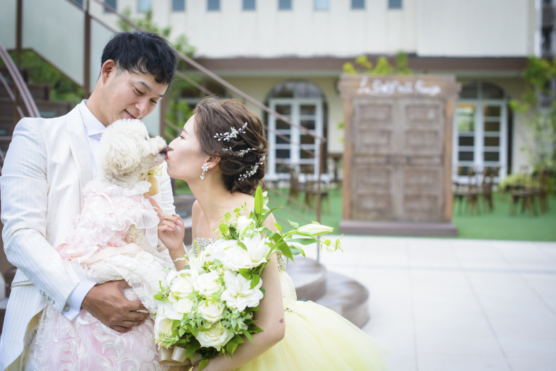 ワンちゃんの登場♪