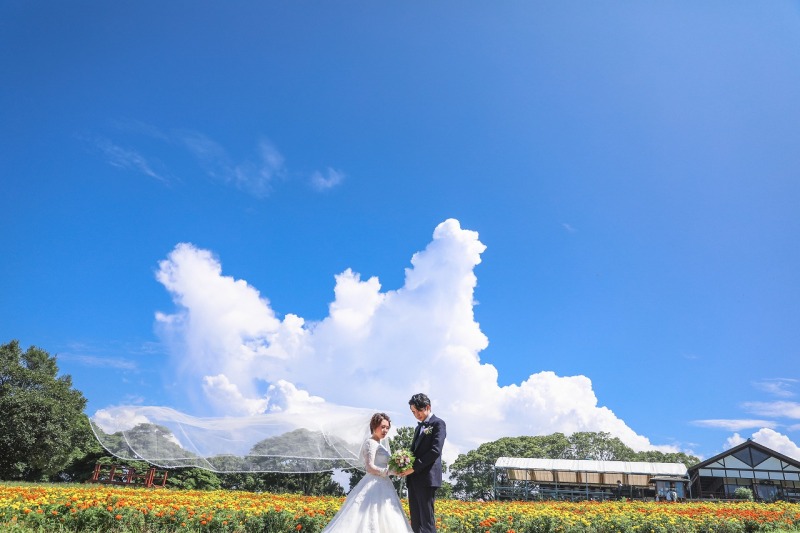 花畑で青空の下