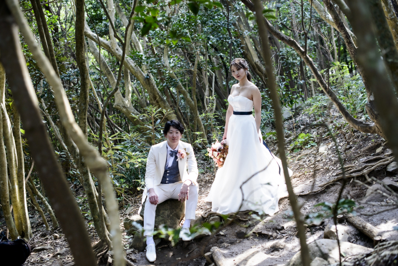 芥屋の大門公園内「トトロの森」で幻想的に…