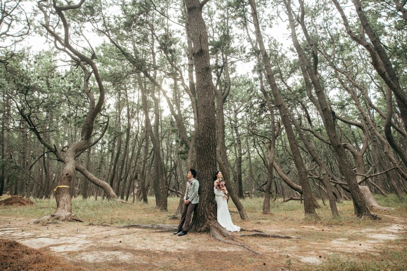砂浜での撮影の後は虹ノ松原へ