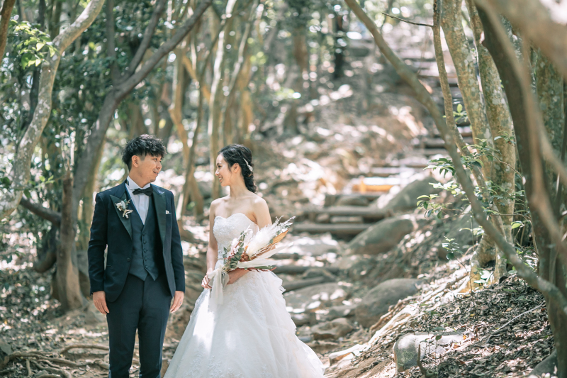 トトロの森では幻想的に