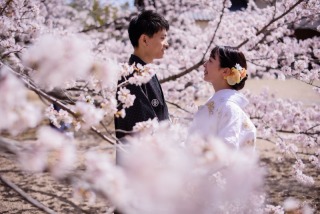 Tree House Saga_【ロケーションフォト】和装