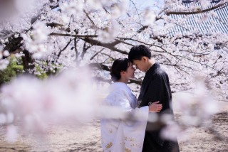 Tree House Saga_【ロケーションフォト】和装