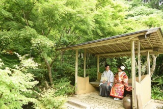 Tree House Saga_【ロケーションフォト】和装