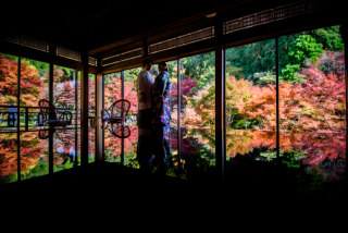 Tree House Saga_【ロケーションフォト】和装