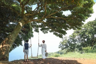 Tree House Saga_【ロケーションフォト】海etc...