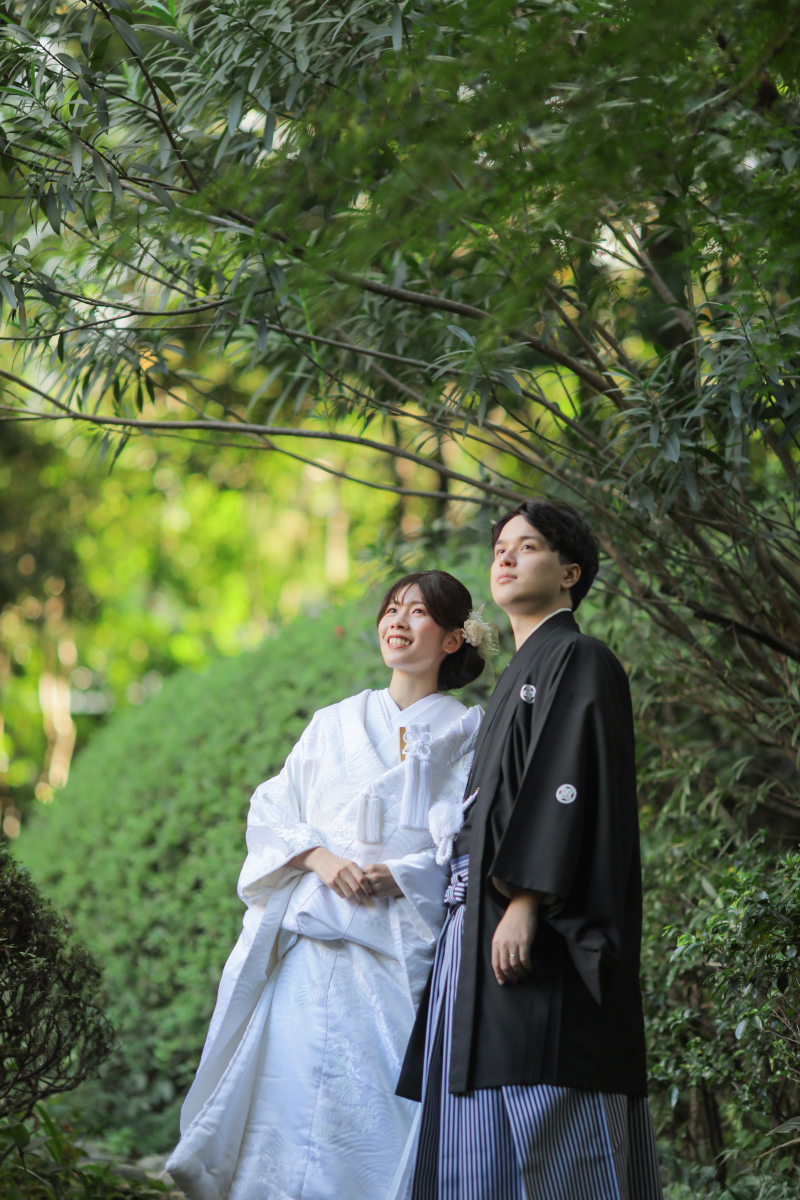 緑&times;白
