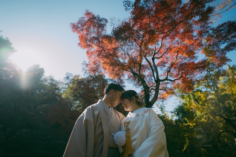 紅葉の木漏れ日に包まれて